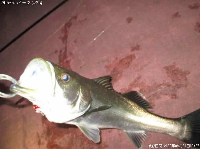 �����Х�