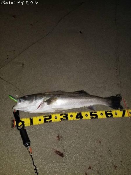 �����Х�