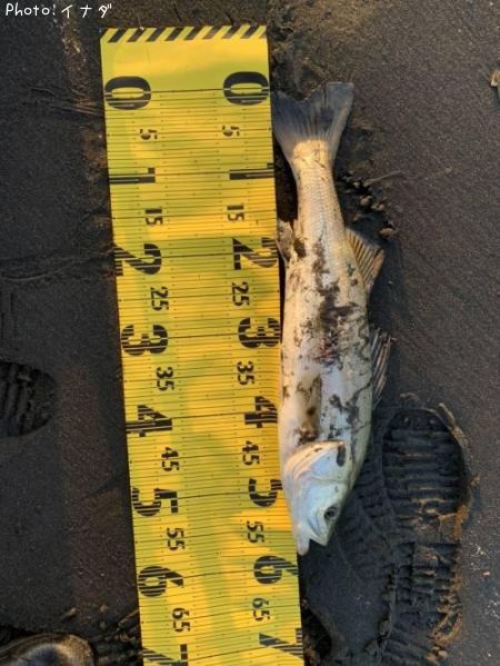 �����Х�