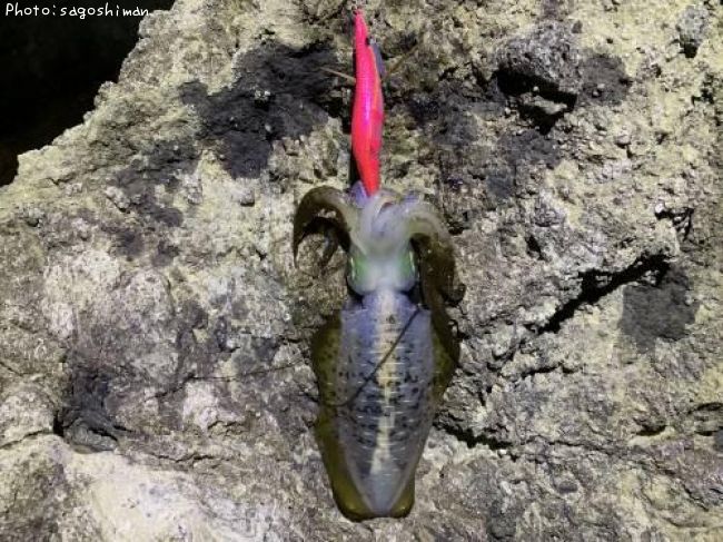 �����ꥤ��