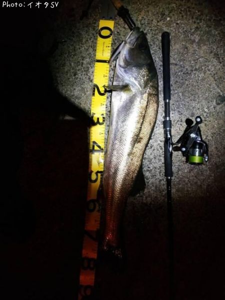 �����Х�