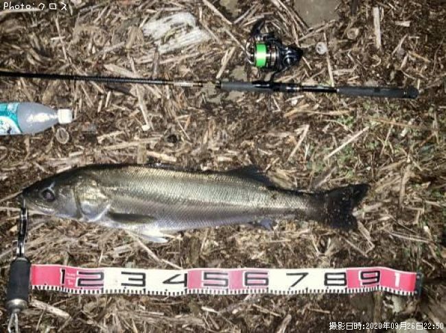 �����Х�