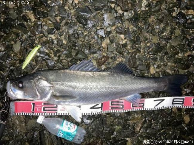 �����Х�