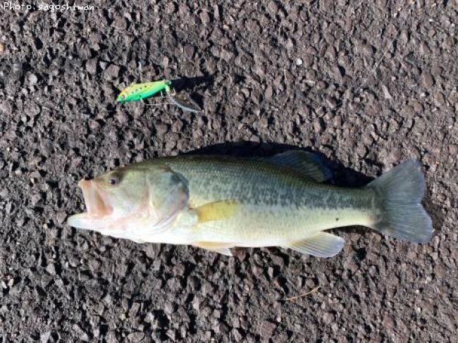 �֥�å��Х�