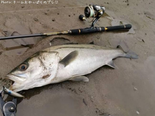 �����Х�