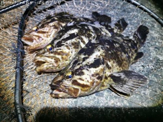 �����Υ���Х�