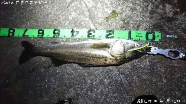 �����Х�