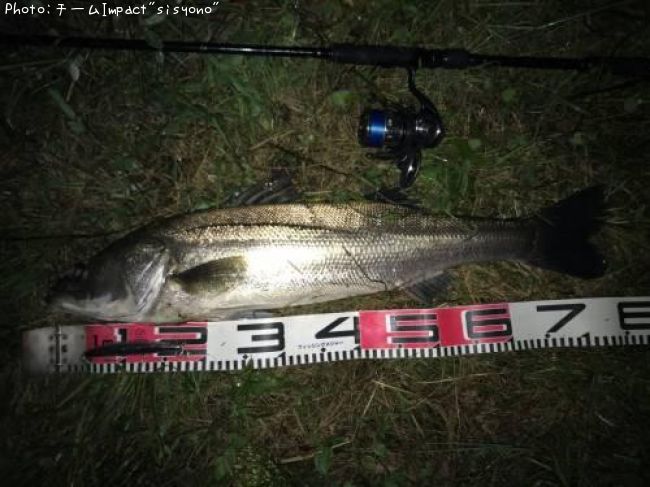 �����Х�