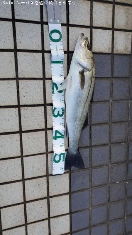 �����Х�