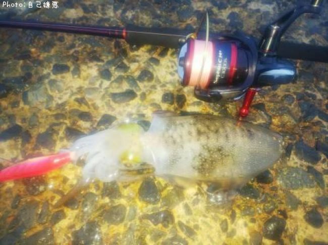 �����ꥤ��