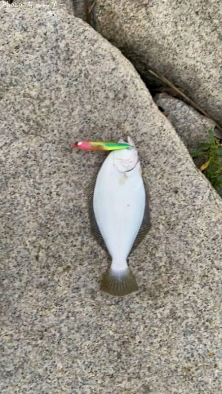 �ҥ��ʥ�����