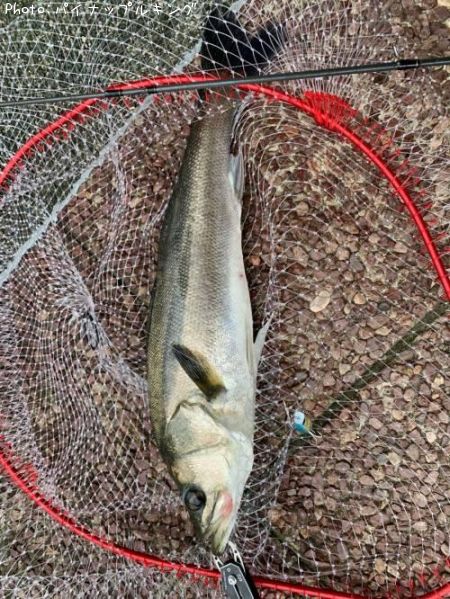 �����Х�