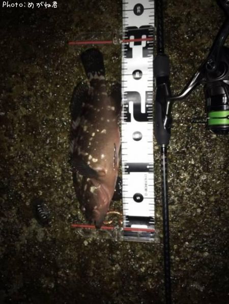 �����ϥ�