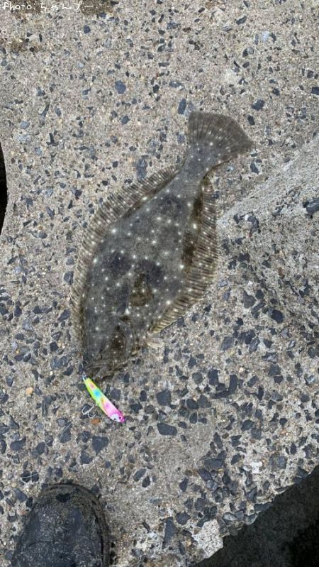 �ҥ��ʥ�����