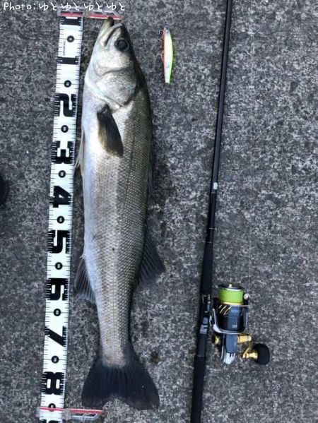 �����Х�