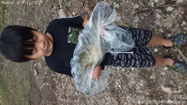 ���⡼��ޥ����Х�