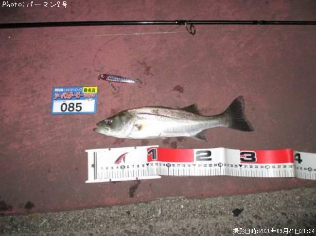 �����Х�