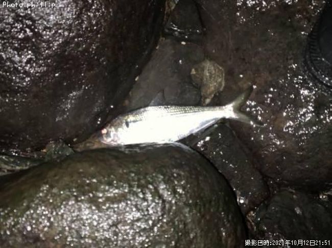 ���Υ���