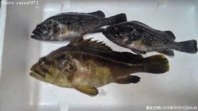 ���ޥ���