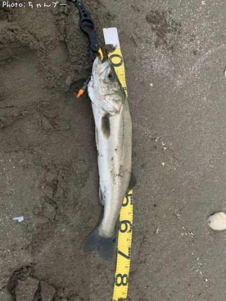 �����Х�