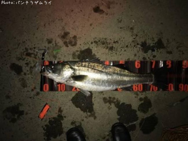 �����Х�