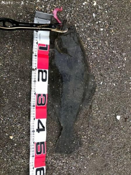 �ҥ�ᡢ�ޥ��������ʥ�