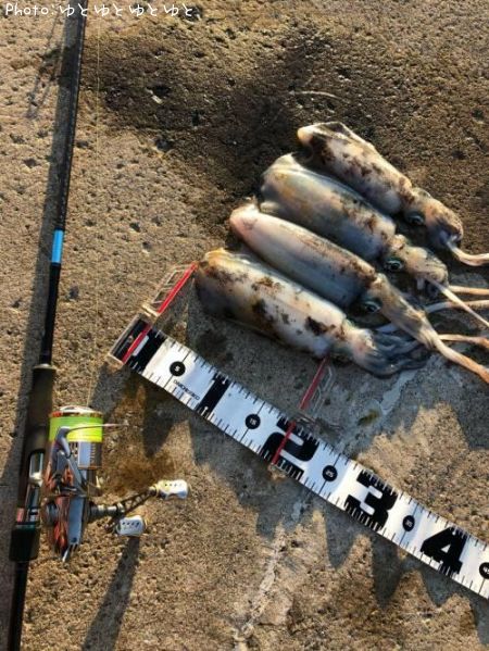 �����ꥤ��