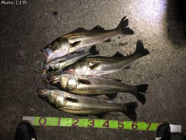 �����Х�