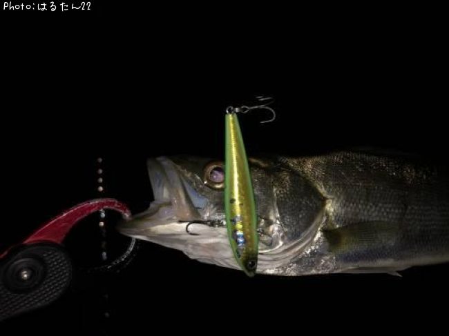 �����Х�