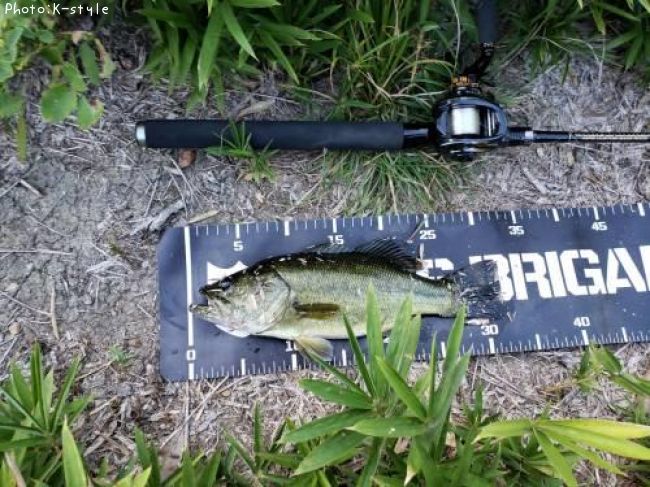 �֥�å��Х�