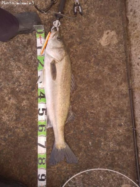 �����Х�