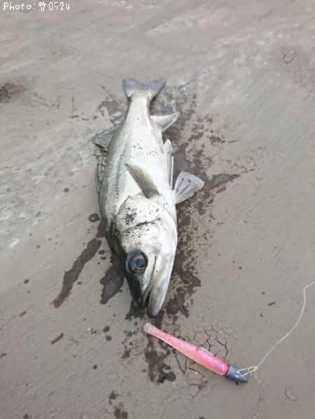 �����Х�