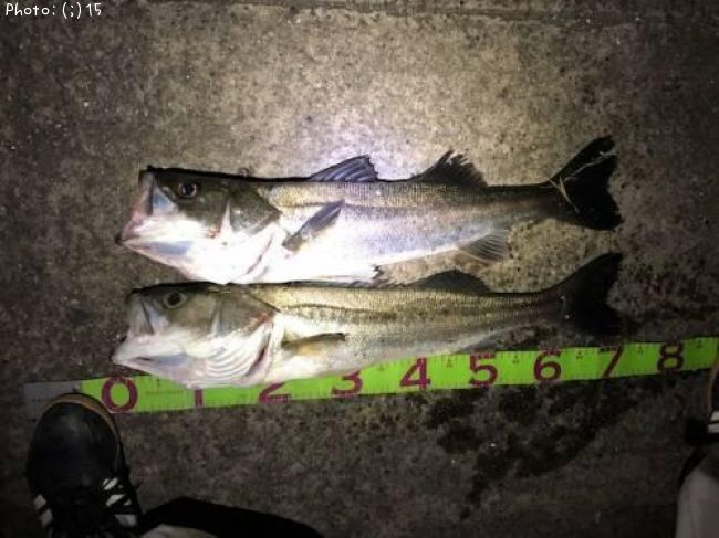 �����Х�