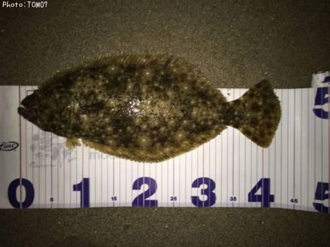 �ҥ��