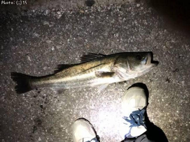 �����Х�