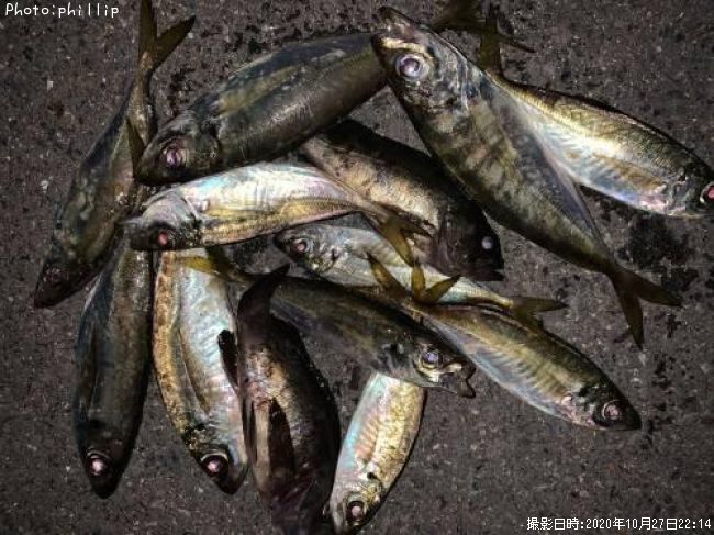 ��������Х�