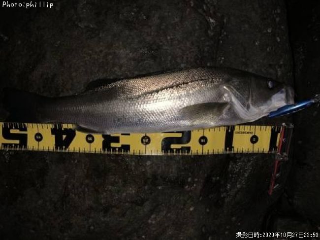 �����Х�