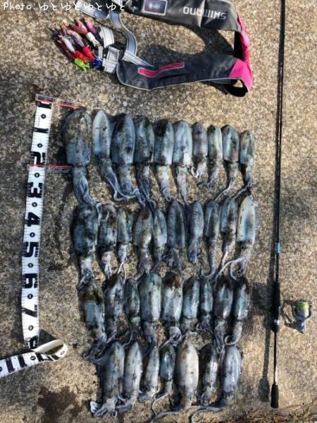 �����ꥤ��