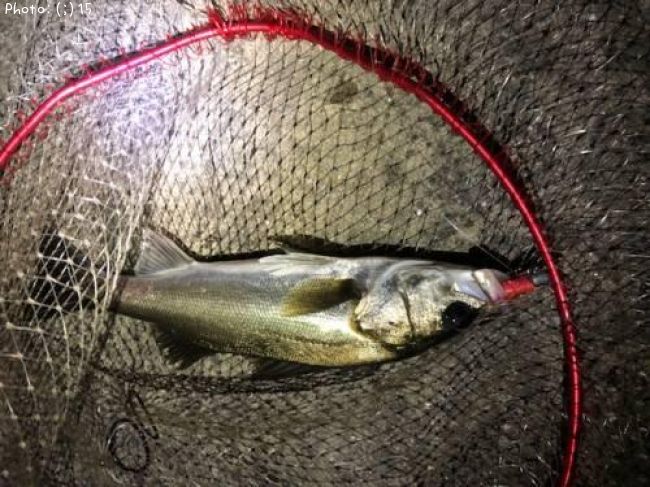 �����Х�