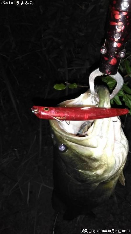 �֥�å��Х�