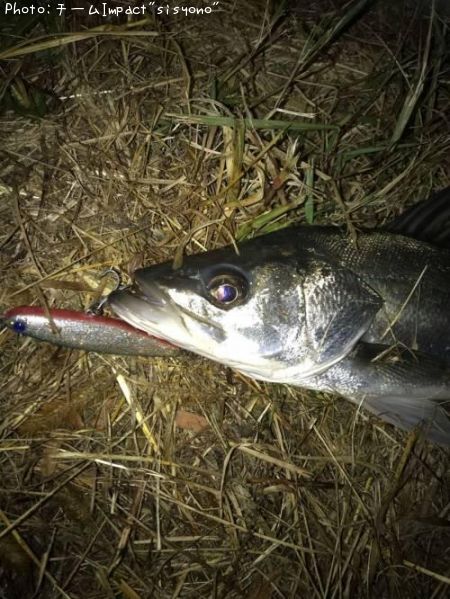 �����Х�