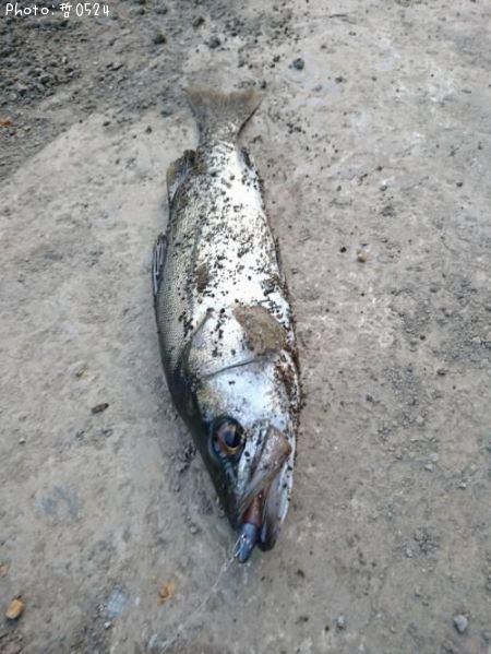 �����Х�