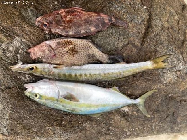 ������󥫥ޥ�