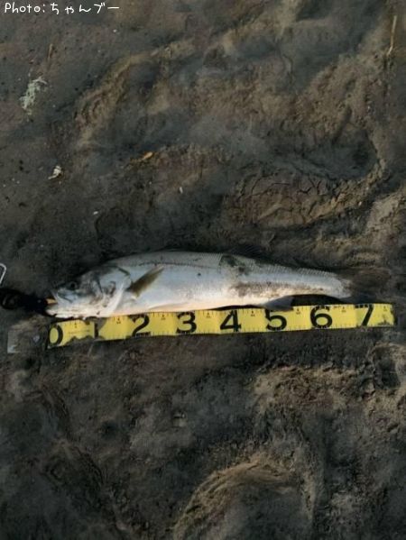 �����Х�