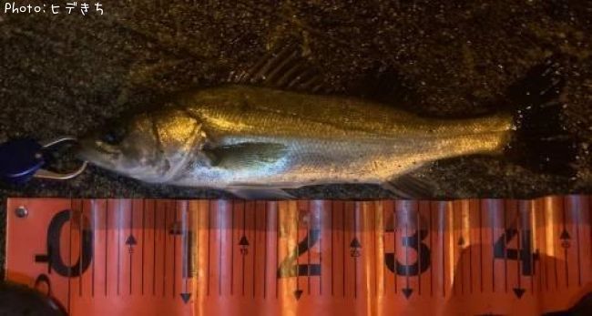 �����Х�