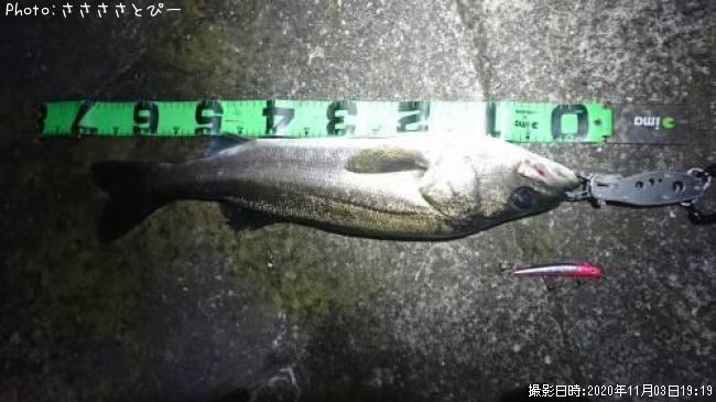 �����Х�