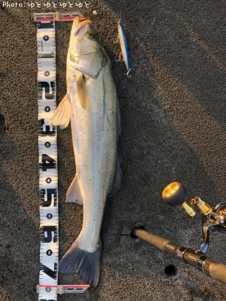 �����Х�