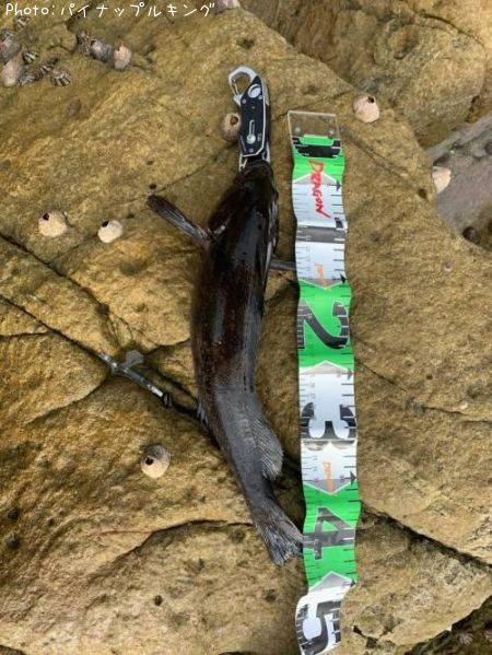 �����ʥ�