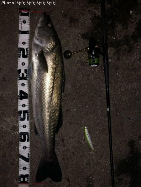 �����Х�