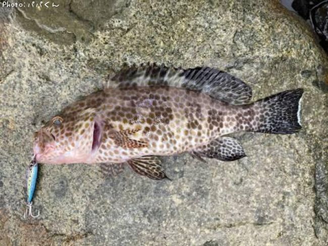 �������ϥ�